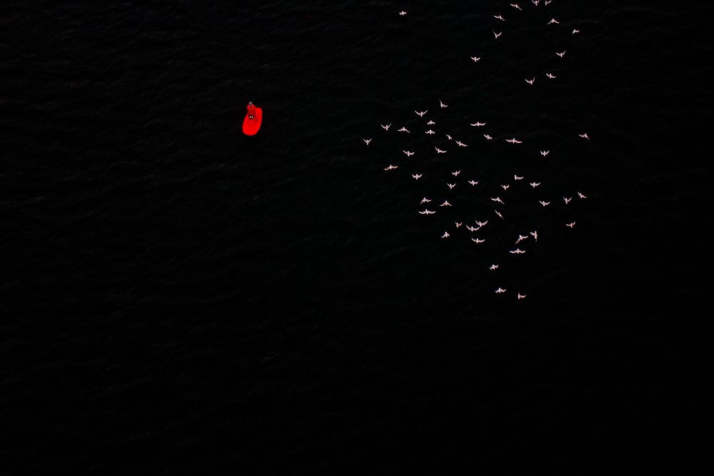 Фотография автора Mario Marco Cosulich