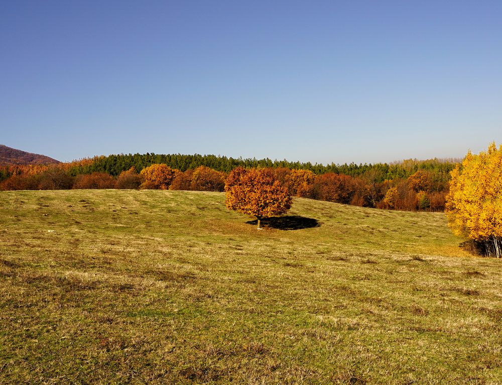 Фотография автора Milena Ivanova
