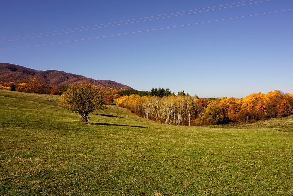 Фотография автора Milena Ivanova