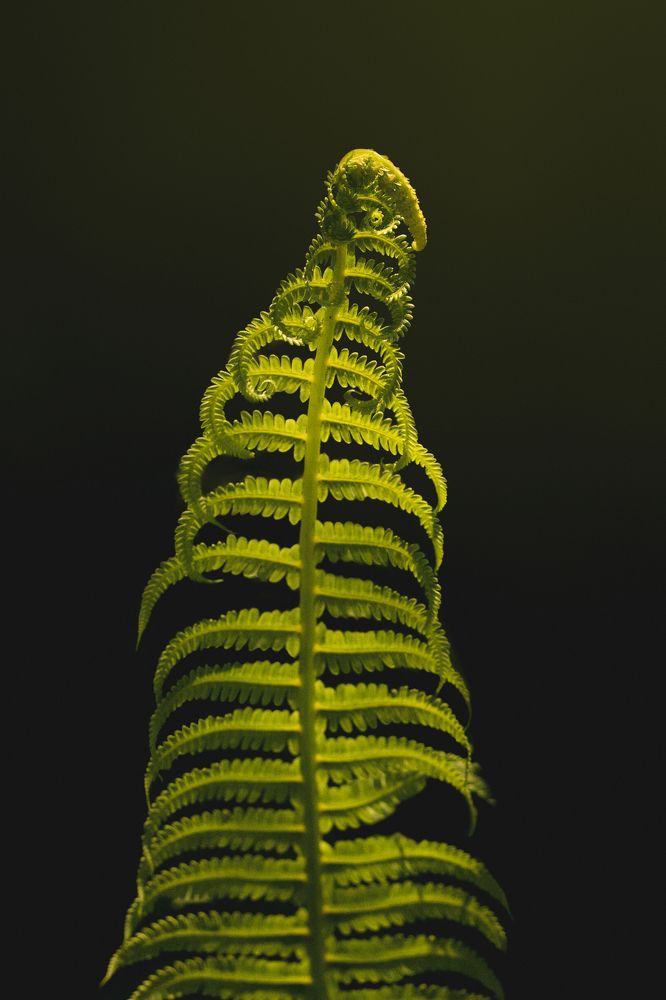 Photograph by Алексей Горин