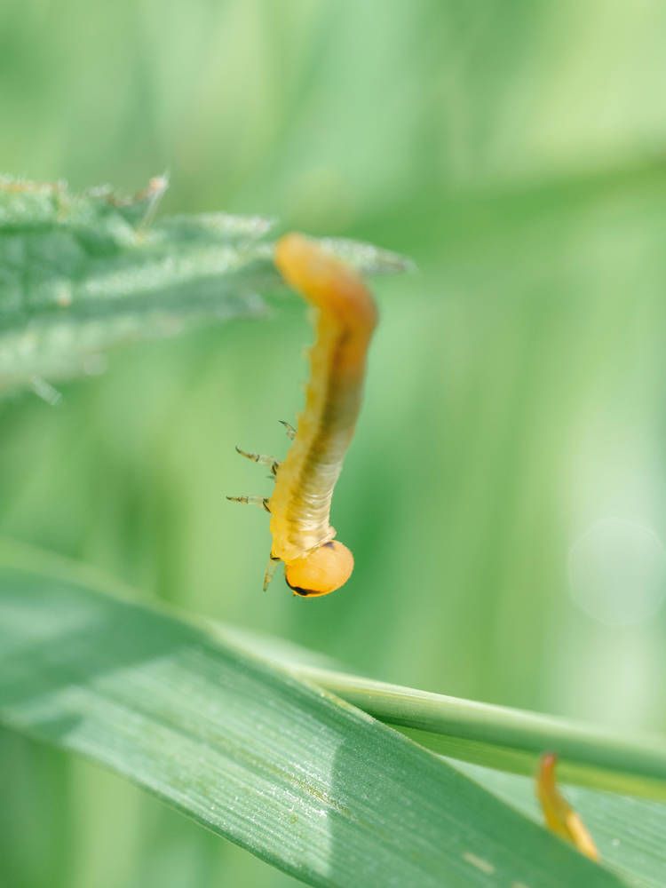 Photograph by Ирина Протченко