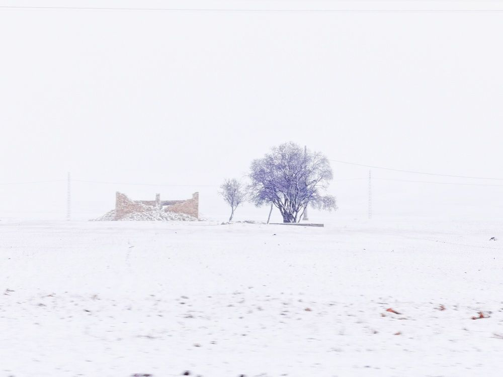 Photograph by Azzeddine Memmou