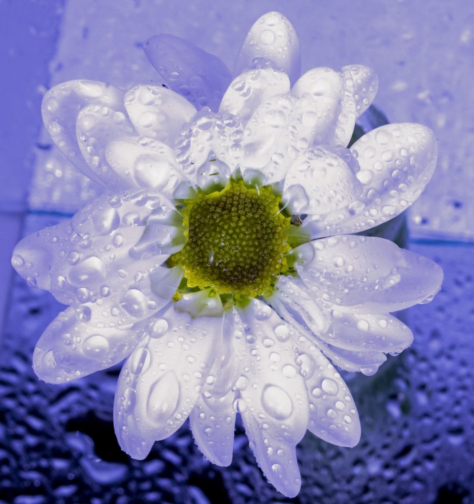 Photograph by Любовь Бусова