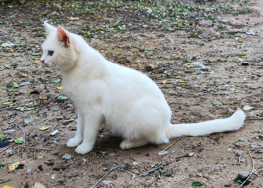 Photograph by Ирина Шибитова