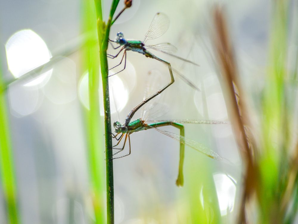 Photograph by Анастасия Гурова