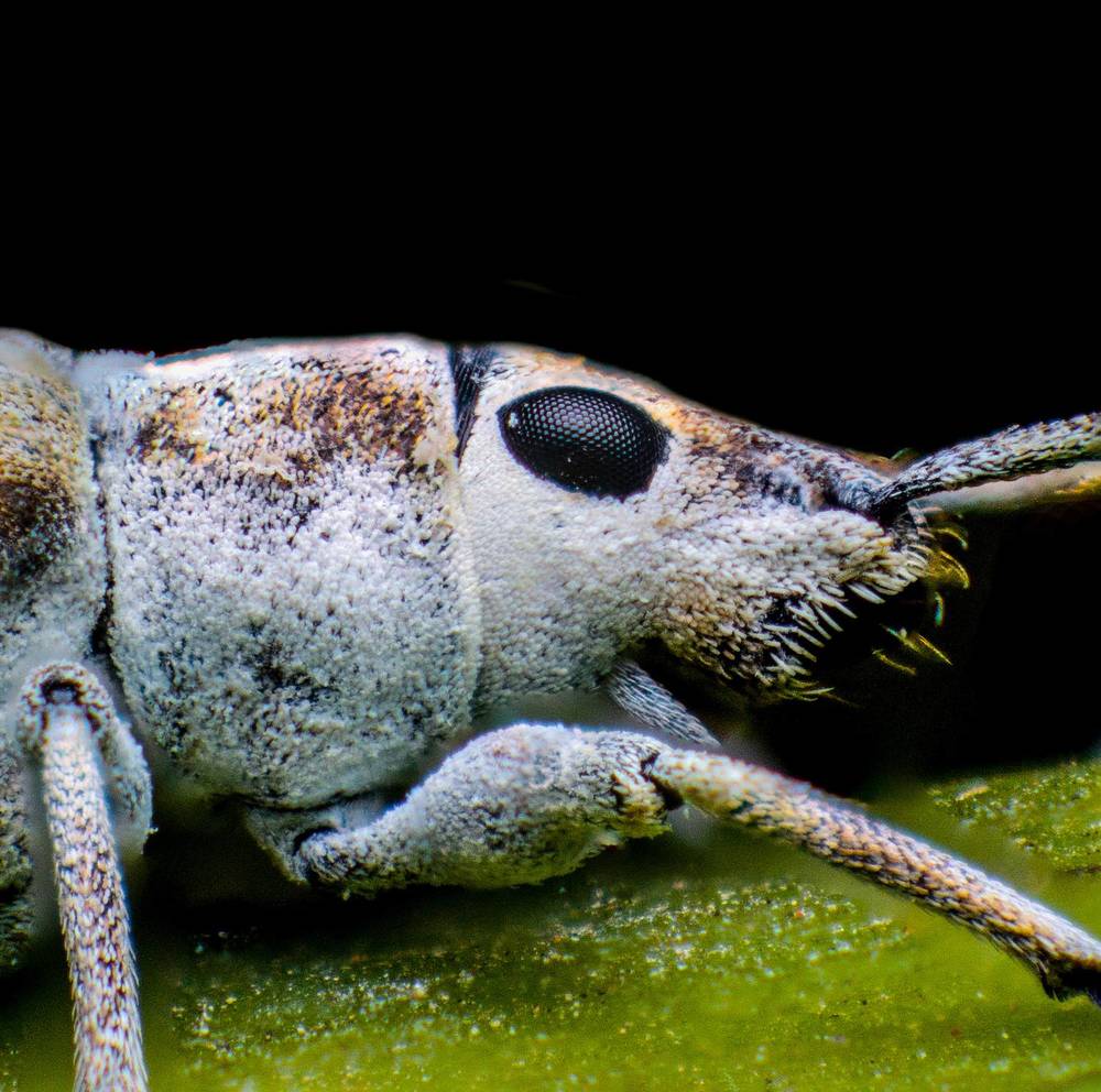 Photograph by Dewindu H. Fernando