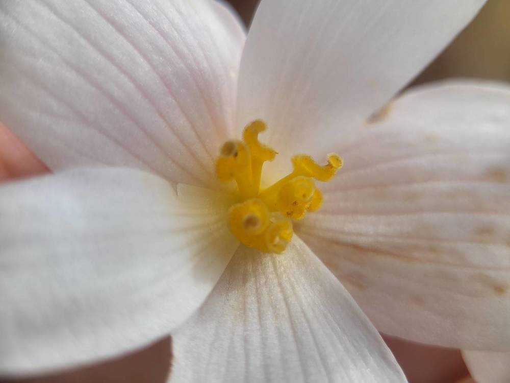 Photograph by Алексей Горин