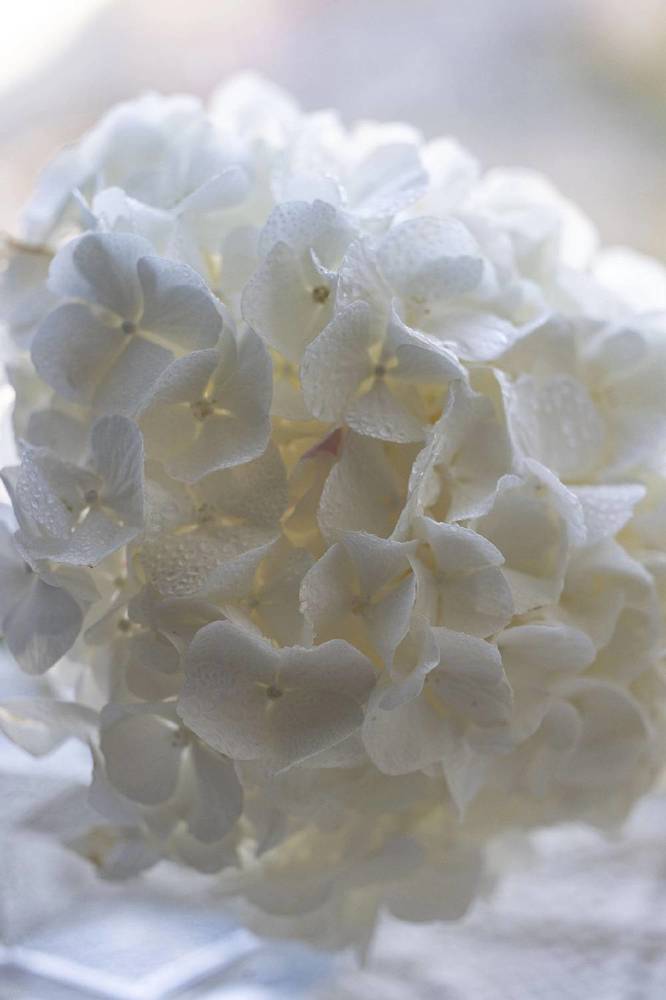 Photograph by Ольга Чибисова