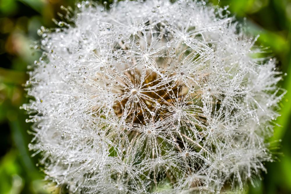 Photograph by Ирина Шибитова