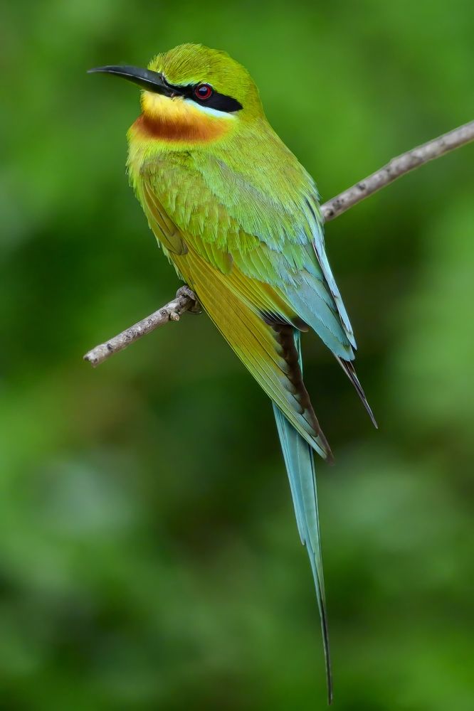 Photograph by Пупонин Сергей