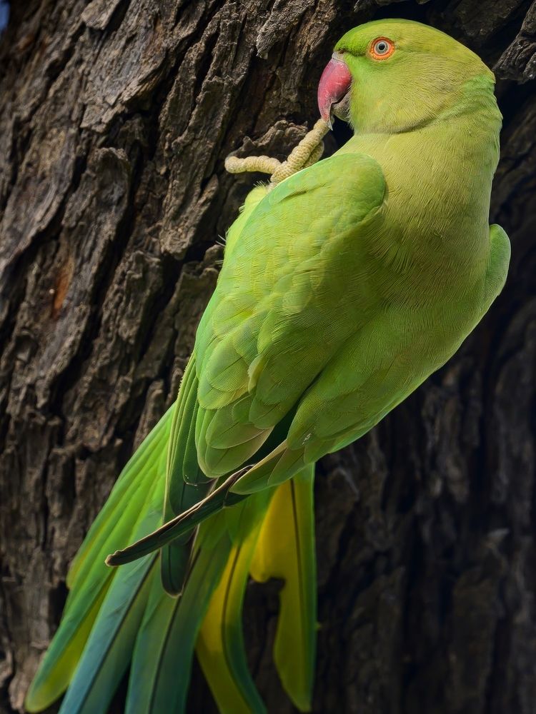 Photograph by Пупонин Сергей