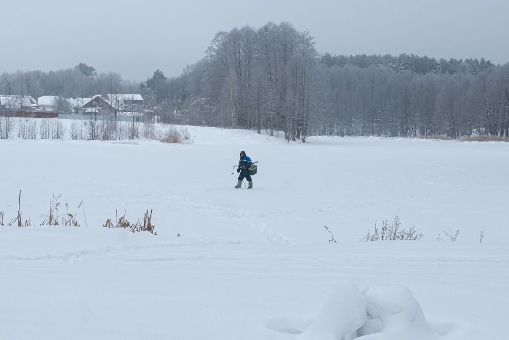 Photograph by Светлана Зайкова
