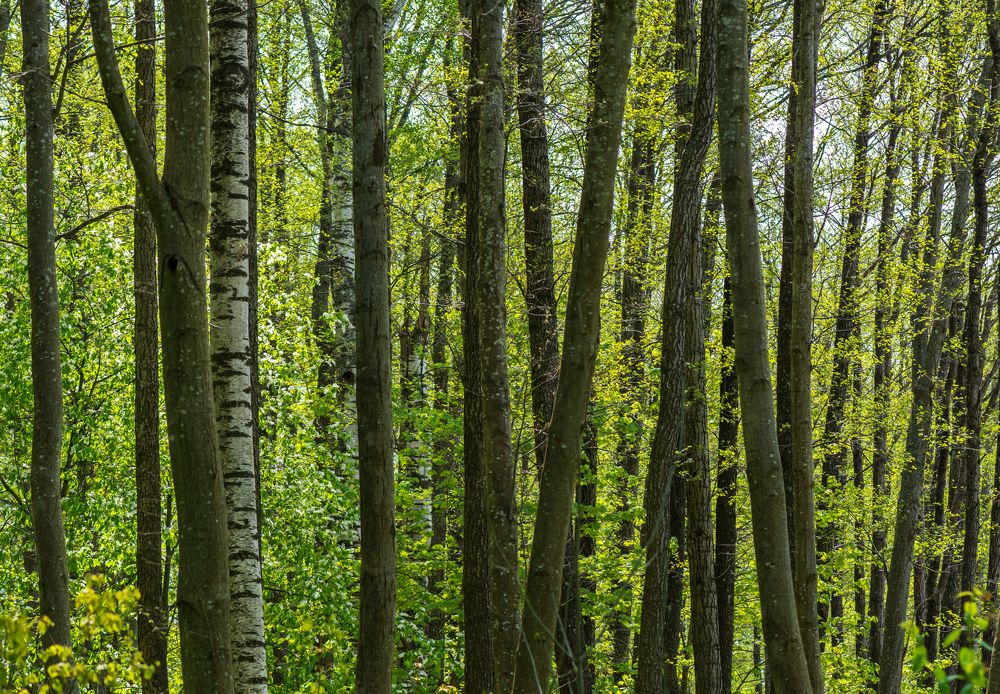 Photograph by Agita Leimane