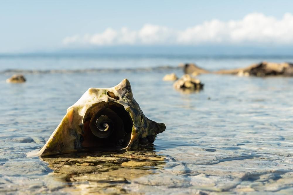 Photograph by Татьяна