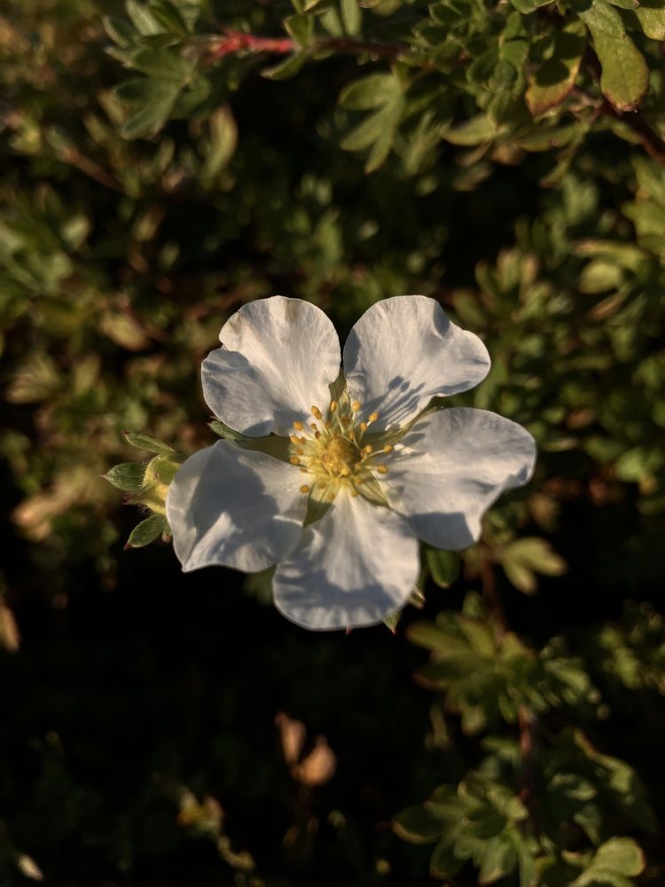 Photograph by Мария Карпычева