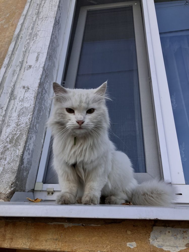 Photograph by Мария Карпычева