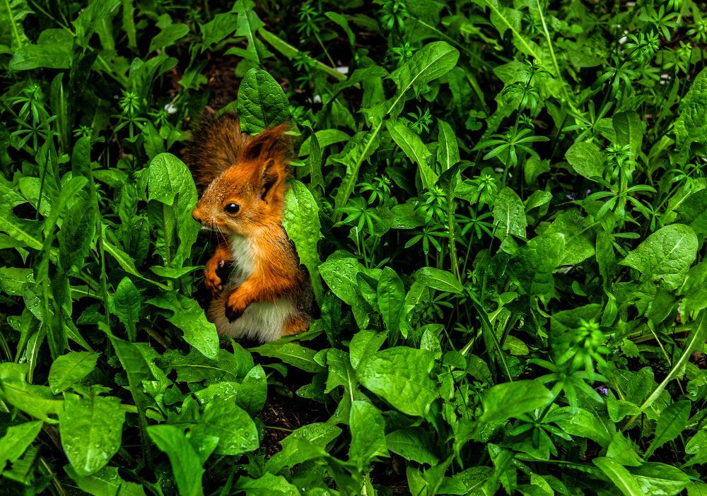 Photograph by Владислав Афанасьев