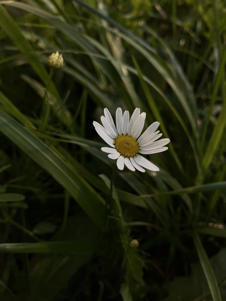 Photograph by Мария Карпычева