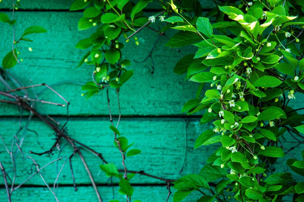 Photograph by Владислав Афанасьев