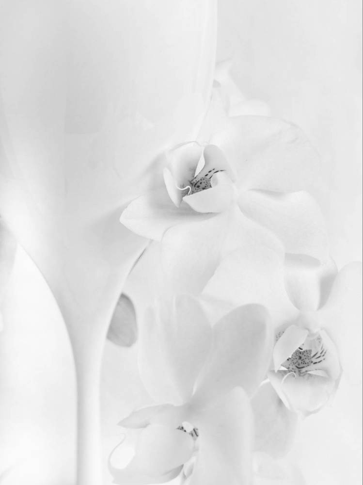 Photograph by Александра Шилова