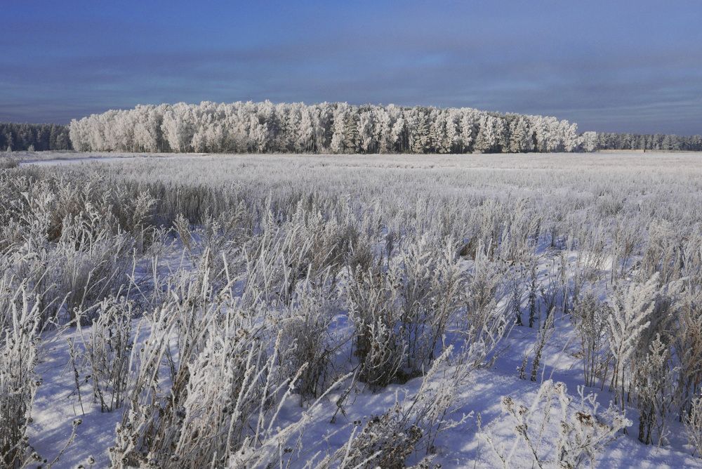 Photograph by Александр Журавлев