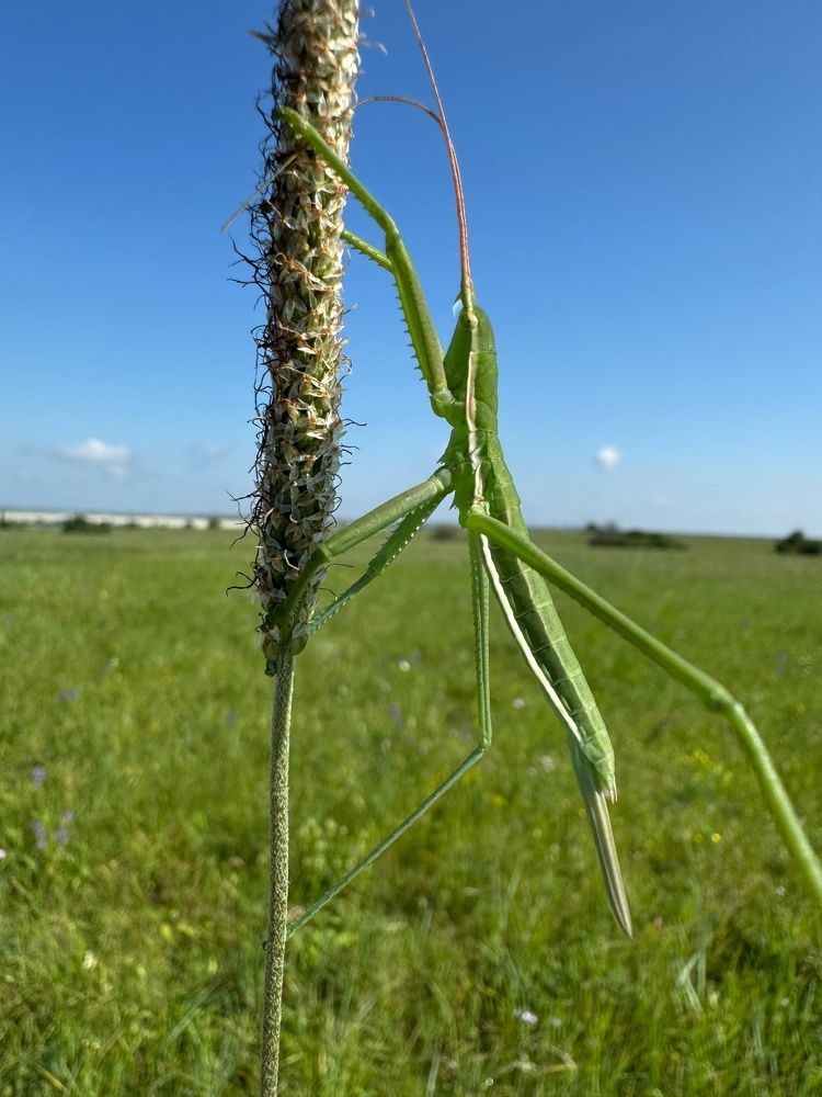 Фотография автора Виктория Зеленкова