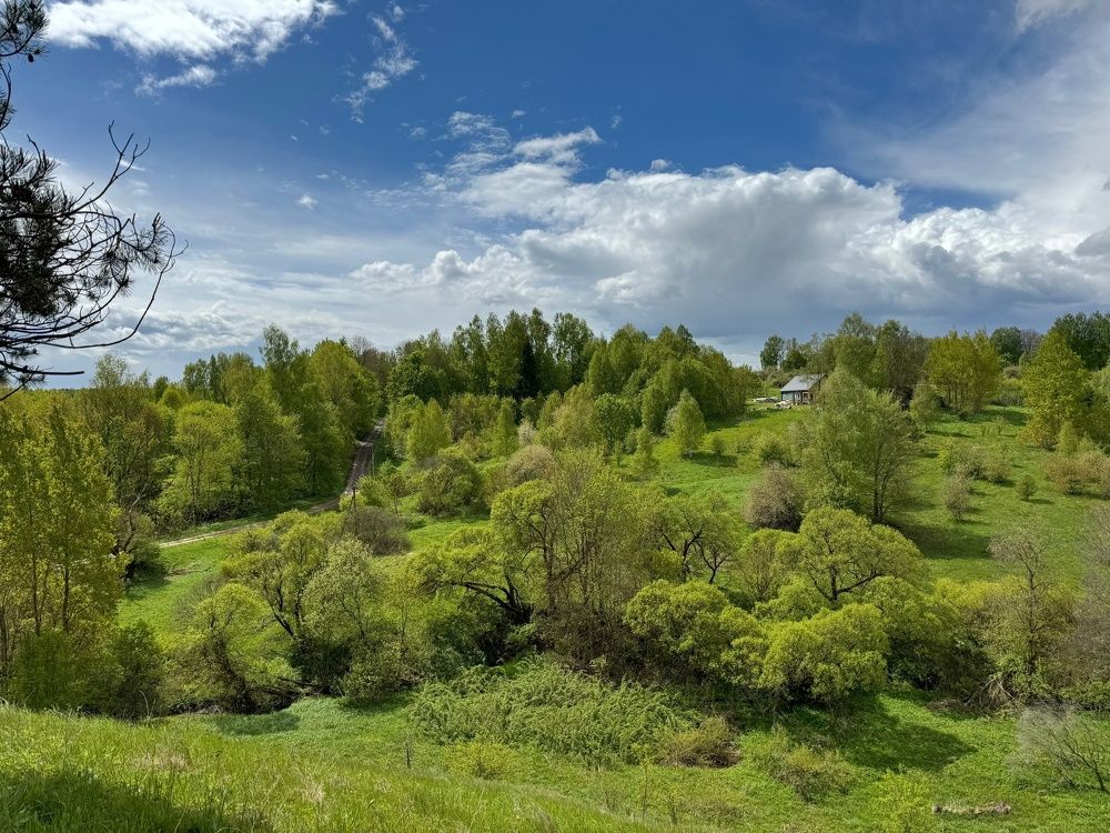Фотография автора Виктория Зеленкова