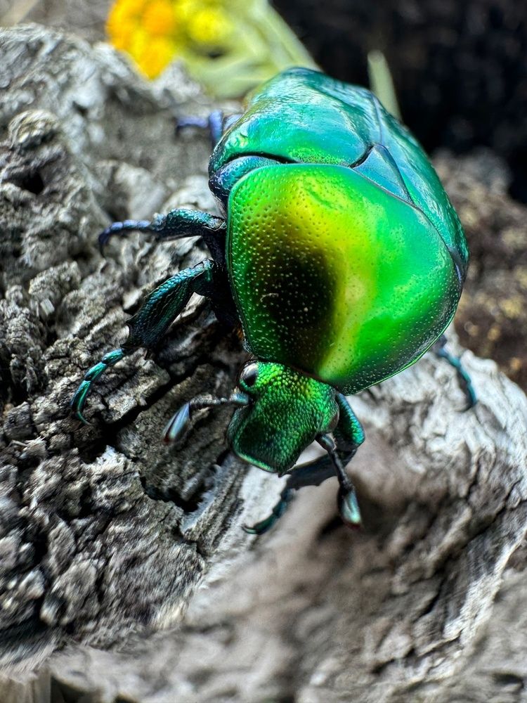 Фотография автора Виктория Зеленкова