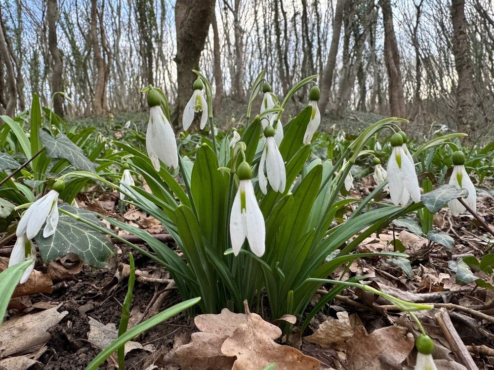 Фотография автора Виктория Зеленкова