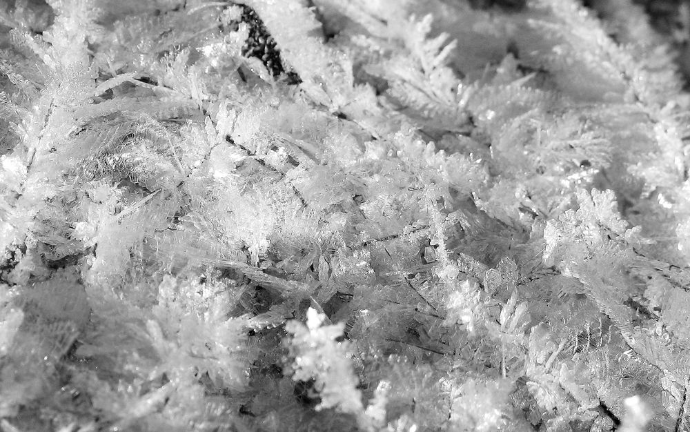 Photograph by Pavel Gukov