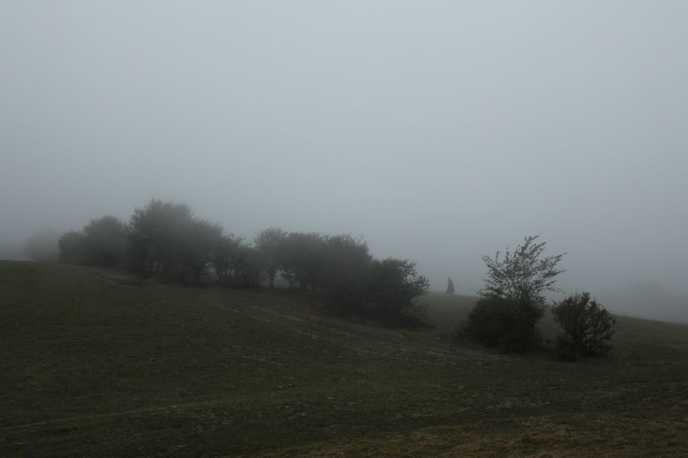 Photograph by Morteza Beiglou