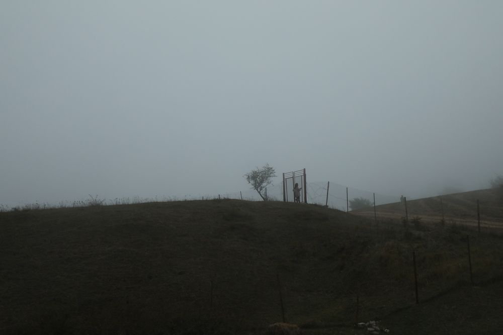 Photograph by Morteza Beiglou