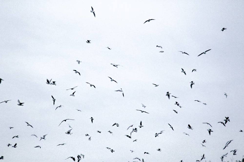 Photograph by Владислав Афанасьев