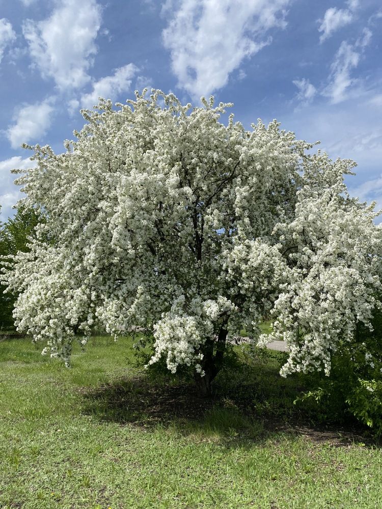 Фотография автора Виктория Зеленкова