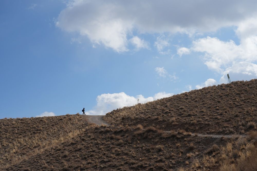 Photograph by Morteza Beiglou