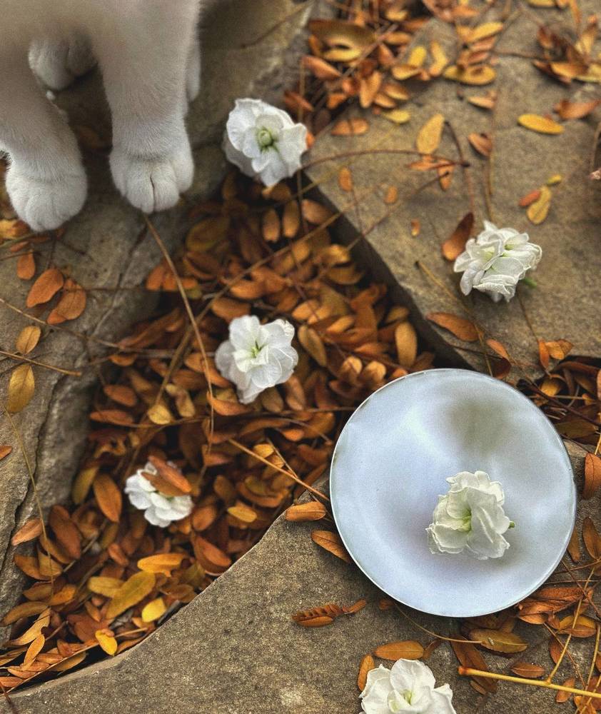 Photograph by Аруза