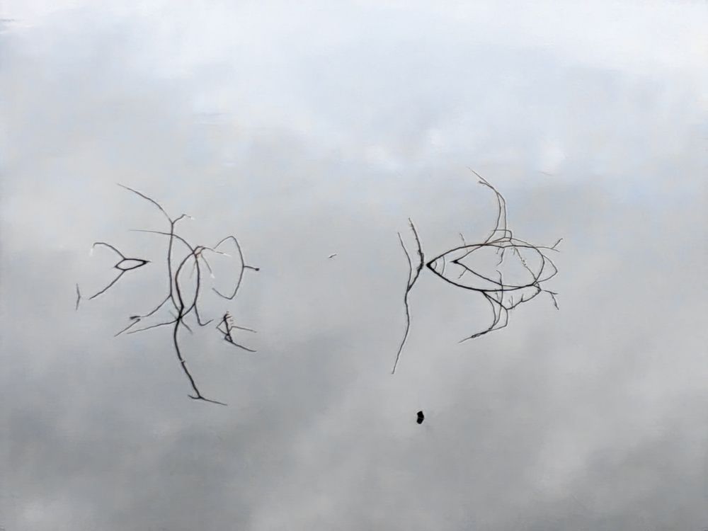 Photograph by Ольга Третьякова