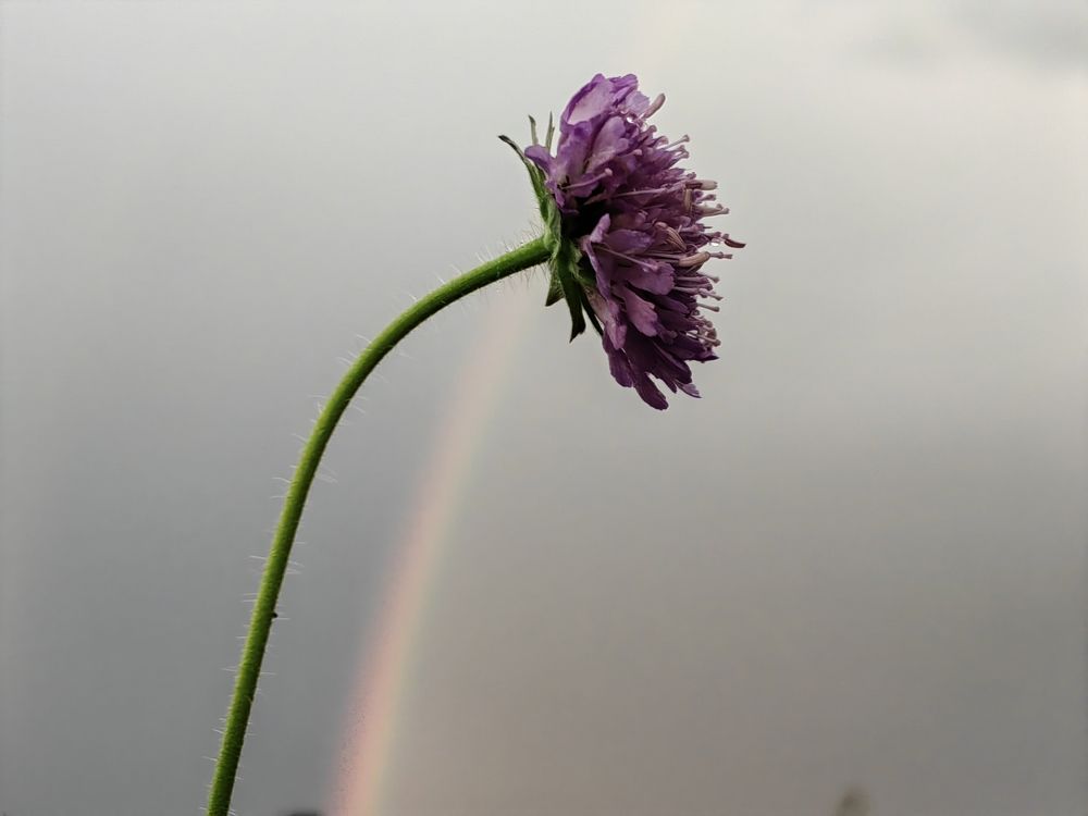 Photograph by Ольга Третьякова