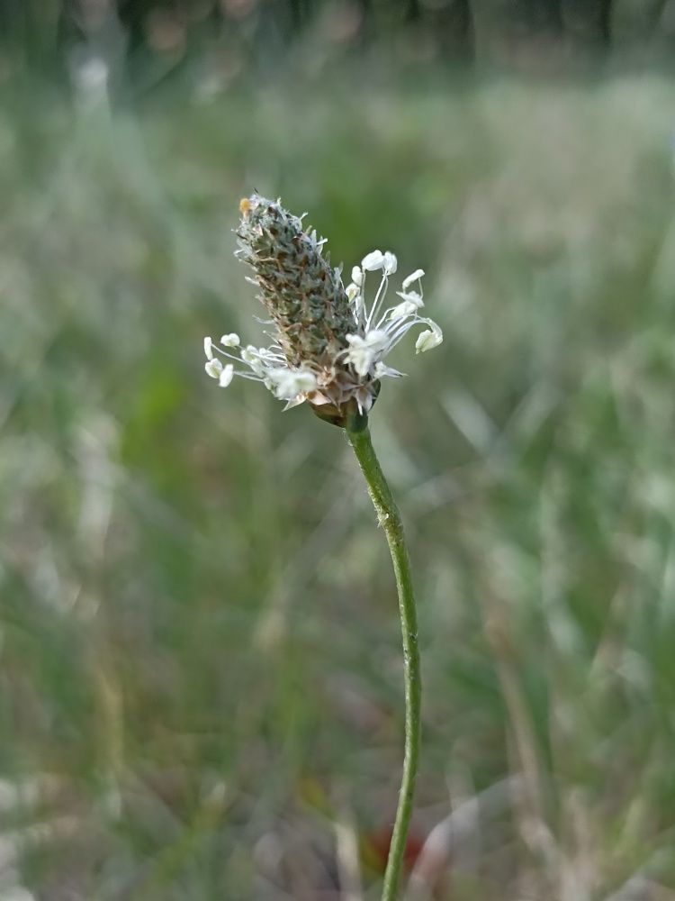 Photograph by Viktoryia М