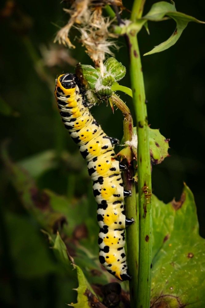 Photograph by Сергей Назаредский