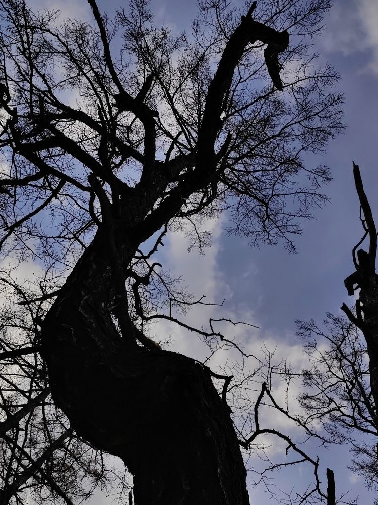 Photograph by Ольга Третьякова