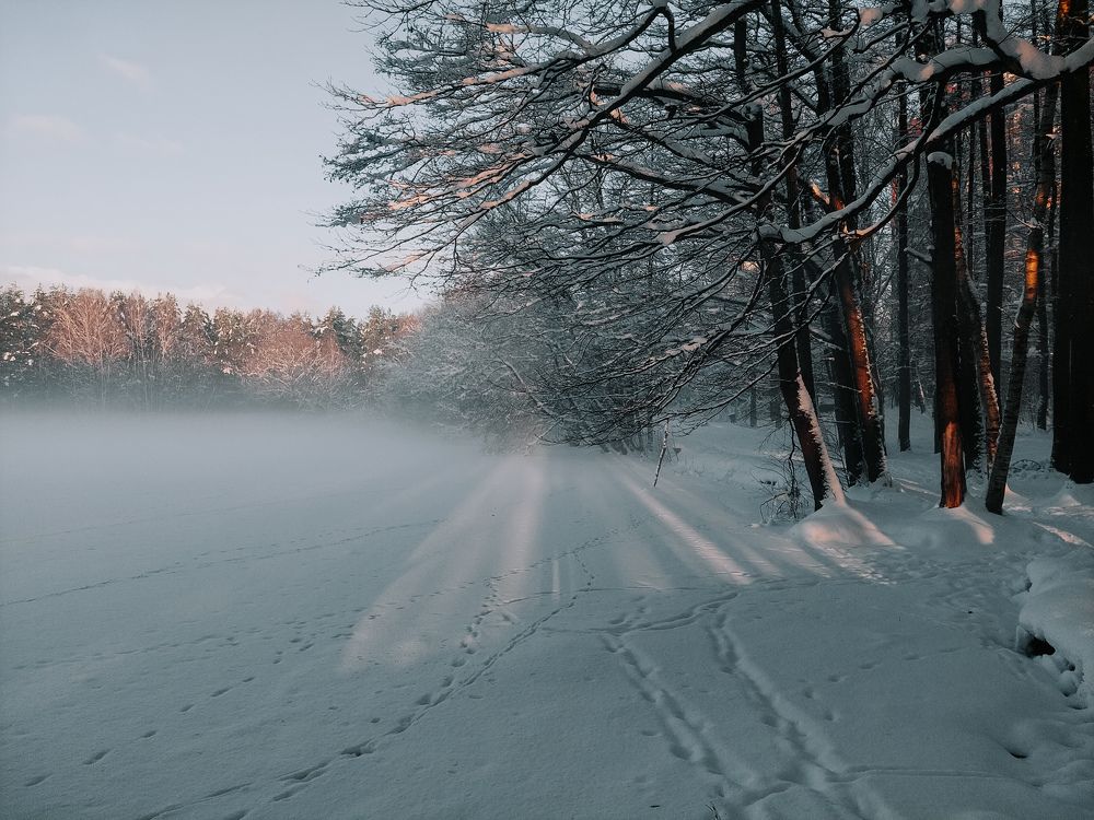 Photograph by Наталия Короленко