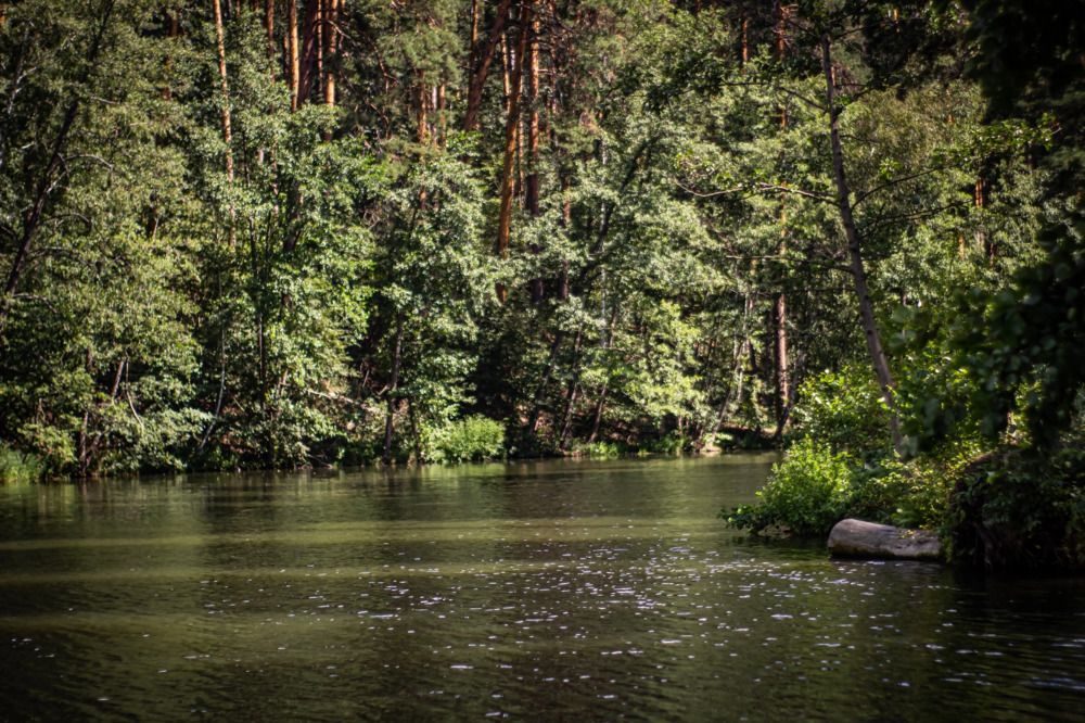 Photograph by Мария Юшина