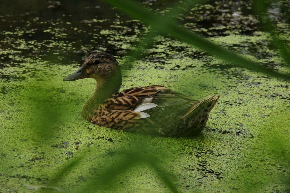 Photograph by Анна Любимова