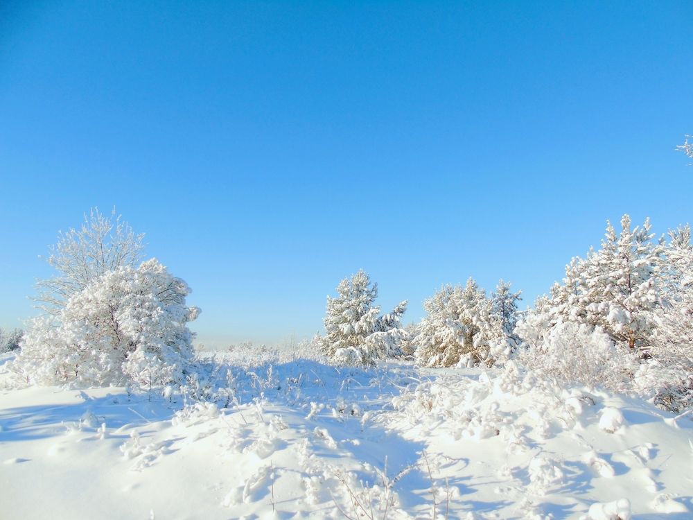 -40 градусов по Цельсию
