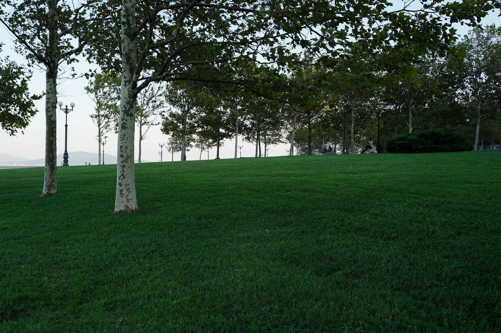 Photograph by Пиленгас Александр