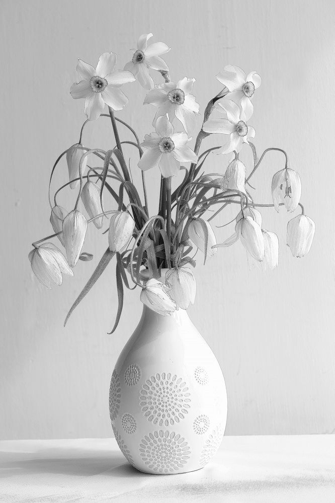 Photograph by Татьяна Долженкова