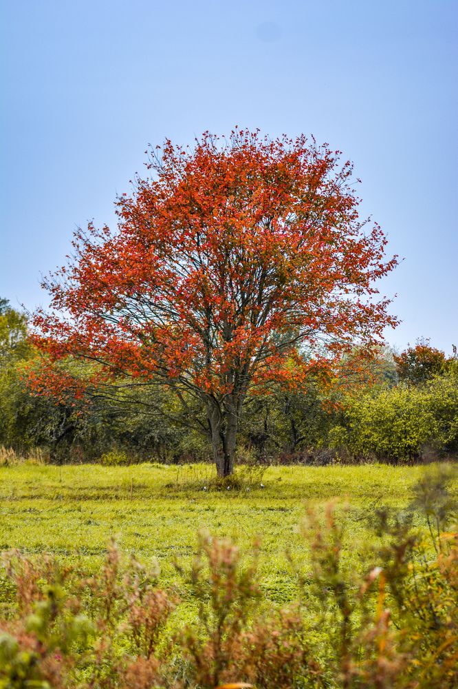 Photograph by Сергей Гуров