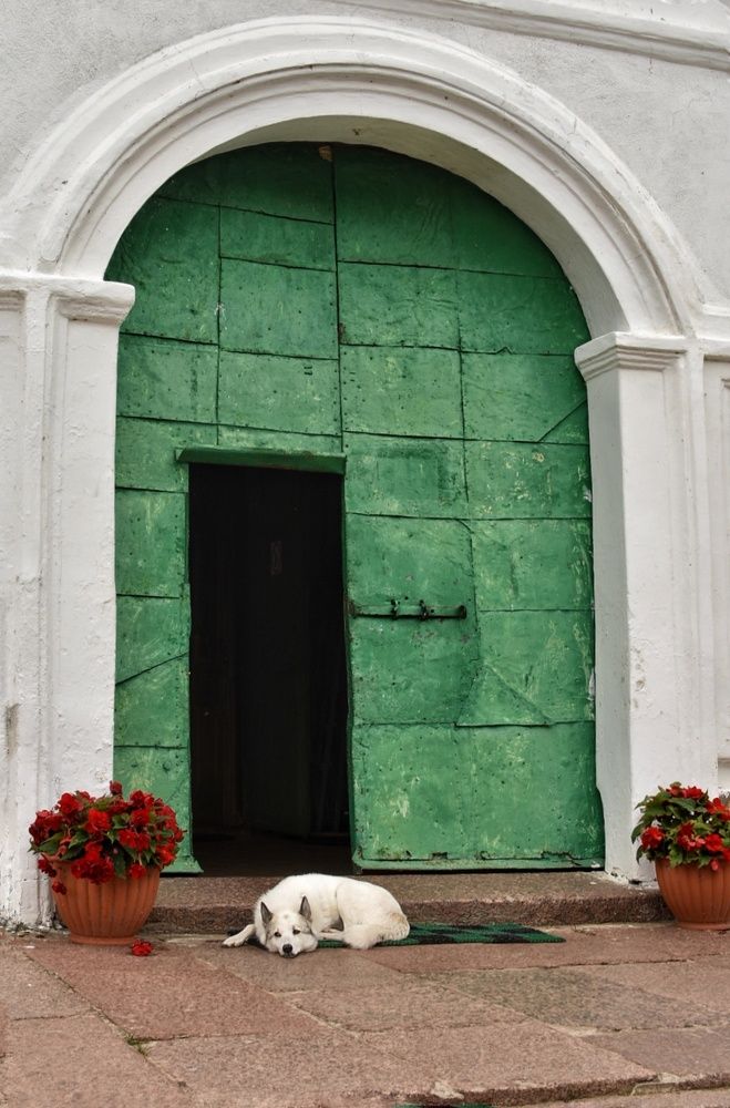 Photograph by Татьяна Абабкова