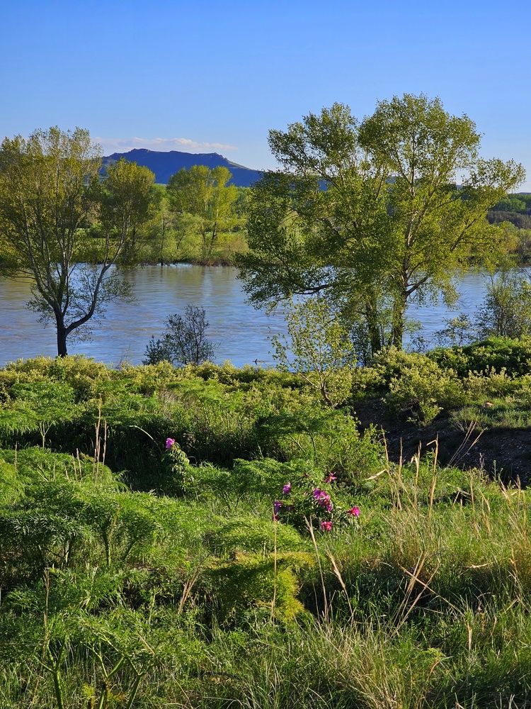 Photograph by Ольга Веселова